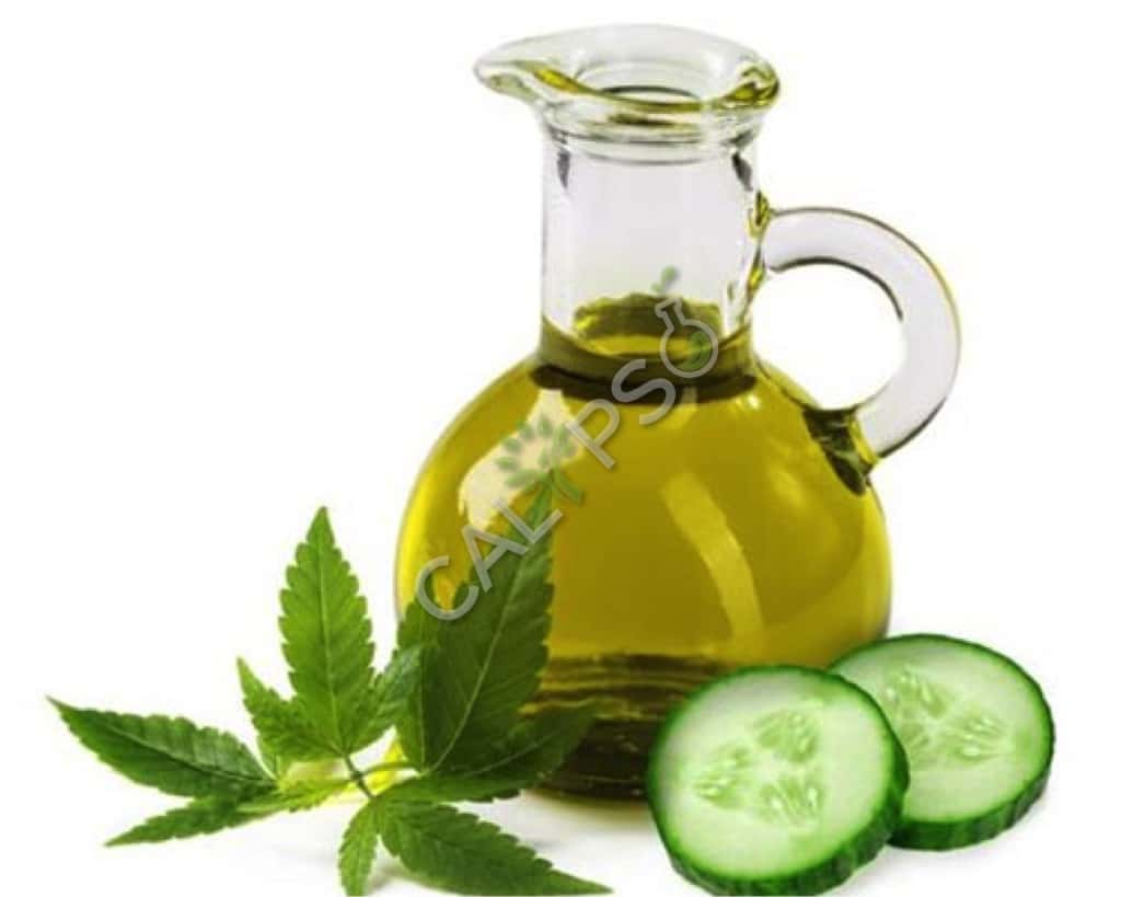 Acquista 100% di olio essenziale del cetriolo puro per la pelle